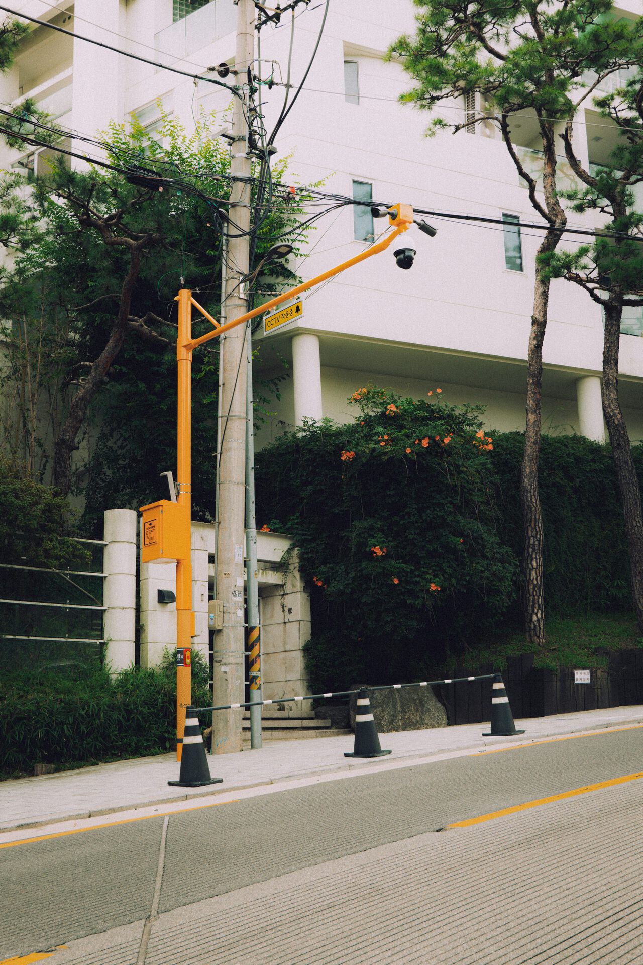 Residential Security Services